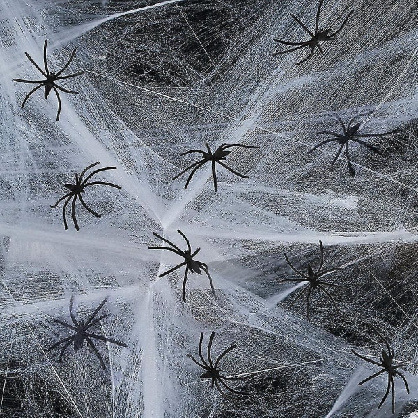 Web rotte spindelvev spindelvev web rotte med ideell for Pla