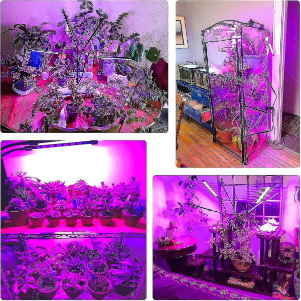 Full Spectrum Inomhusväxtlampor, 80 LED Växtlampor Väx Li