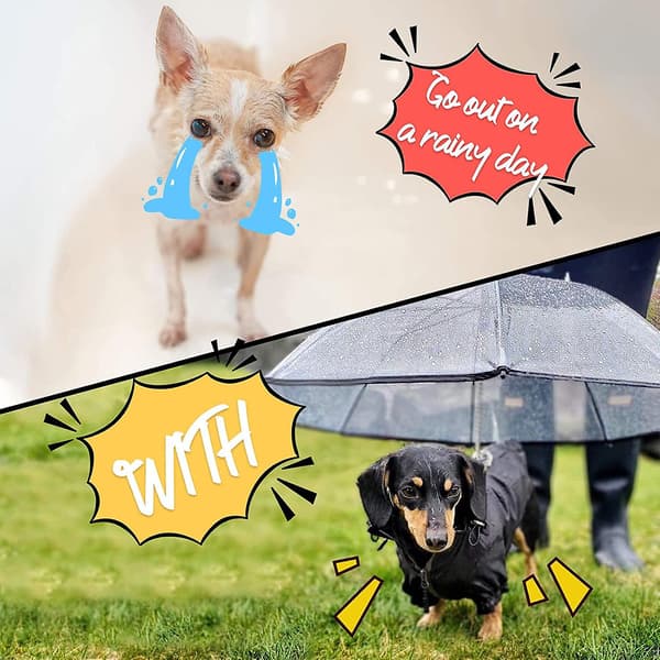 Pet paraply trygt