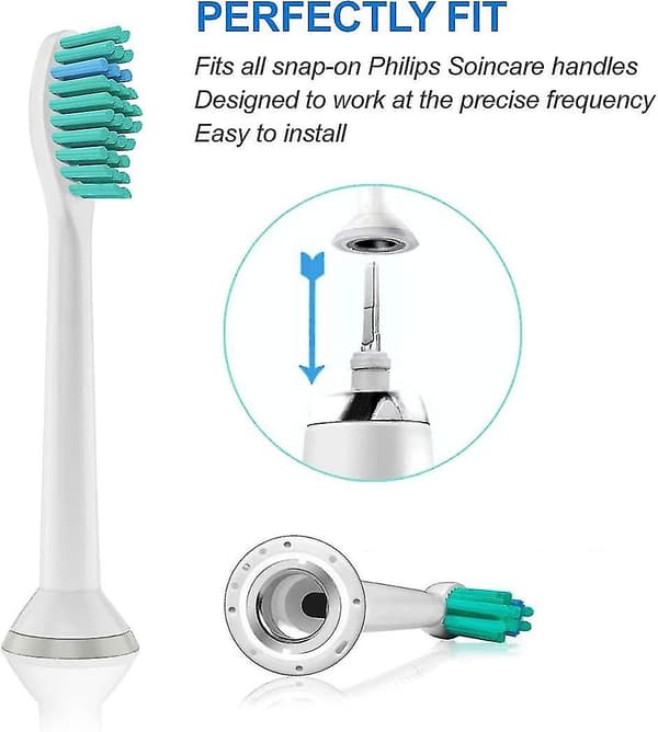 Vaihtoharjaspäät, 8 kpl Standard Brush Heads Co