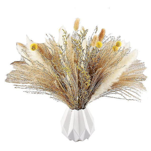 Pampasgræs R 65 stk. 17,5 tommer tørrede pampasplanter -fluffy tørrede pampas