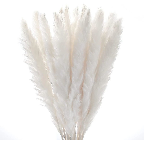30 stk. Pampas Naturlig Græs Reed Plume Tørrede Blomster Phragmites Buket Høj Real Touch Naturlige Fjer Til Bondehus Kontor Soveværelse Bryllup Rustik Dek