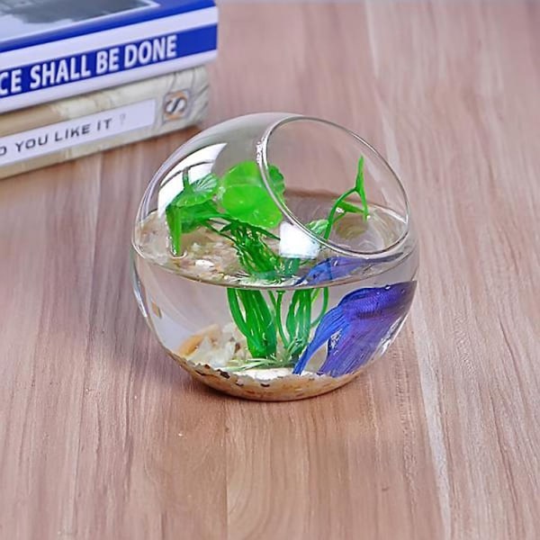 Klar glasvase fiskebowle planter terrarium beholder hydroponisk dekoration