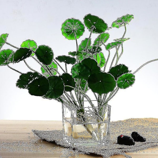 Set med 3 glas fyrkantiga vaser 5 x 5 tum genomskinlig kubform blomvas, ljusstakar - perfekt som bröllopsdekorationer, heminredning