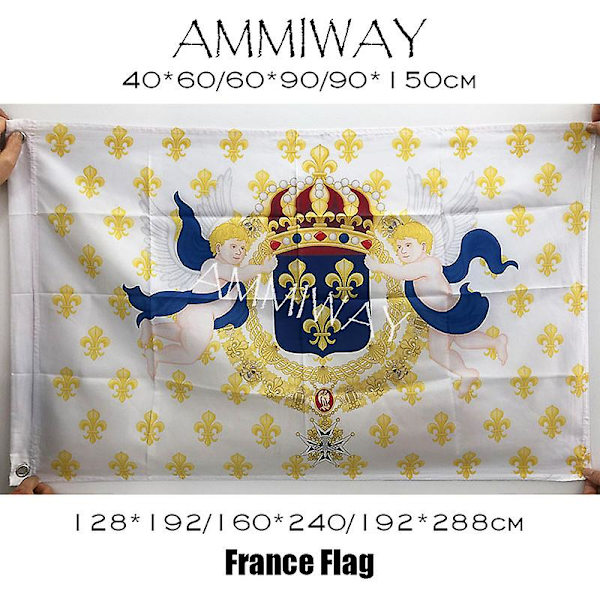 Hvert statsoverhoved i Vichy-Frankrig Flag og bannere Frankrig Flag Philippe Petain Flag Dekorativt nationalt flag Frankrig