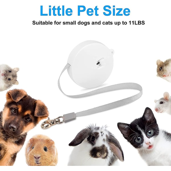 Automatisk uttrekkbar hundebånd for små hunder Katter, kjæledyr utendørs turgåing Nylon trekktau 6,5 fot White Square