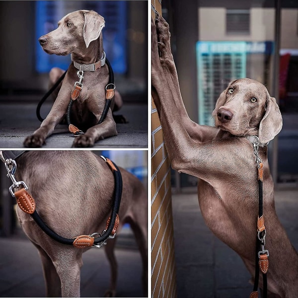Håndfri hundesnor til flere formål (7 fod) - Stærk hundetræningssnor, 1,4 cm tyk nylon dobbelt hundesnor, [3 justerbare længder] Gå og løbe længe
