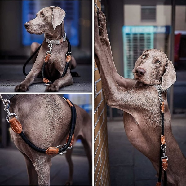Multifunktionel håndfri hundeline (7ft) - Stærk hundetræningsline, 1,4 cm tyk nylon dobbelthundeline, [3 justerbare længder] Gåtur løb lang