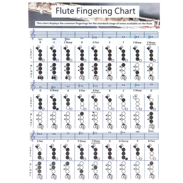 Fløjte fingersætning Akkordskema Begynder Elev Praksis Læremidler Instrumenttilbehør (28x21cm)