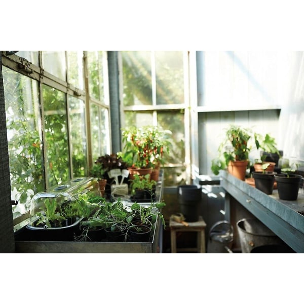 Växtplast med fat - Små plastkrukor med avloppshål, växtkrukor med brickor, plastkrukor för inomhus- och utomhusväxter