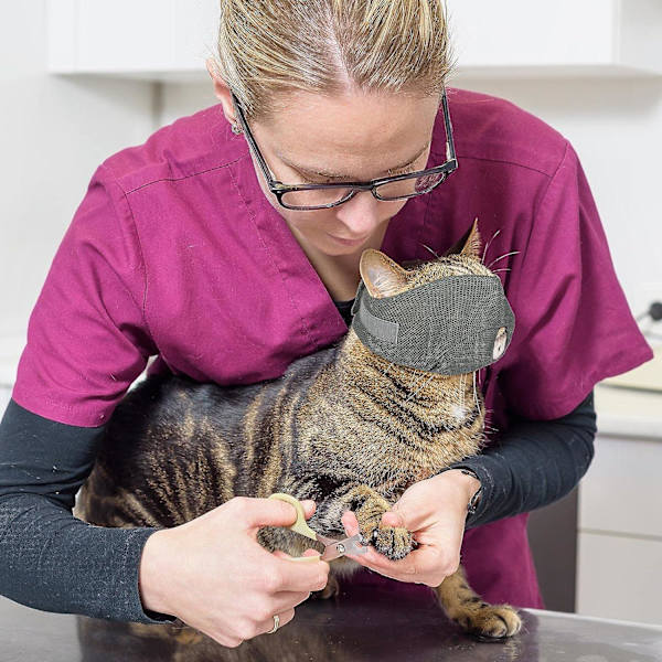 3 st kattmunstycken andningsbara nätmunstycken kattvårdshållarpåsar med munstycke anti-bit anti-mjau för att förhindra katter från att bita blå, rosa, grå
