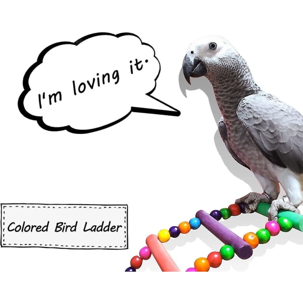 Specielt fuglestigelegetøj 27,6 tommer farvet fleksibel papegøje-gyngebro i  træ-cockatiel-bur hængende klatrestige 4498 | Fyndiq
