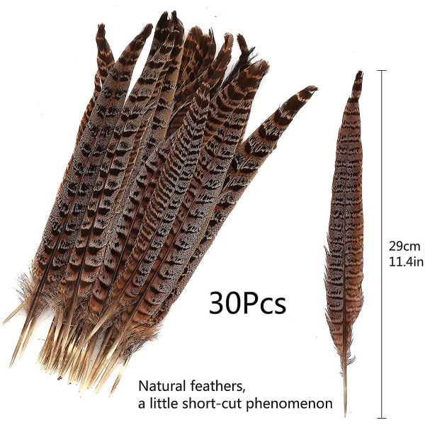 30 kpl luonnonfasaanin höyheniä, diy fasaanin pyrstöhöyheniä, 15-28 cm pehmeää alkuperäistä höyhenpeitettä hiushattujen käsitöihin juhlakoristeluun, luonnollinen väri
