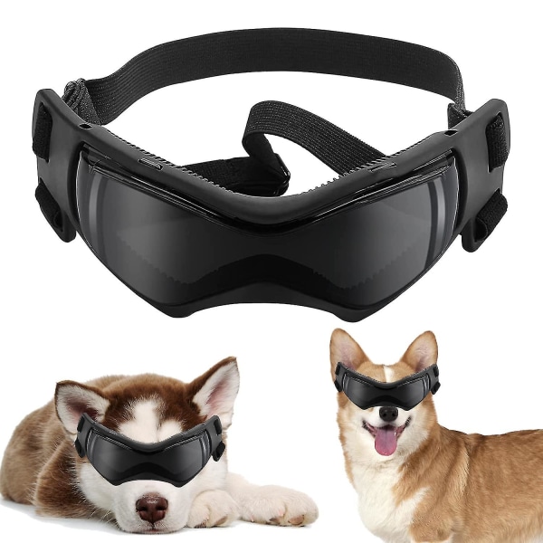 Pet Goggles, Dog Solbriller, Outdoor Dog Goggles, Dog Goggle