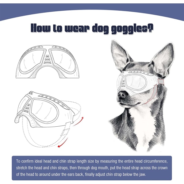 Dog Goggles Øyebeskyttelse Hunde Solbriller Anti-UV Goggles Wi