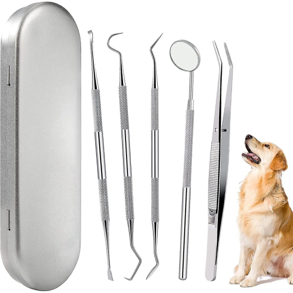 Scaler koiran hampaiden puhdistussarja ruostumattomasta teräksestä valmistettu set lemmikkieläinten hampaiden puhdistustyökalu
