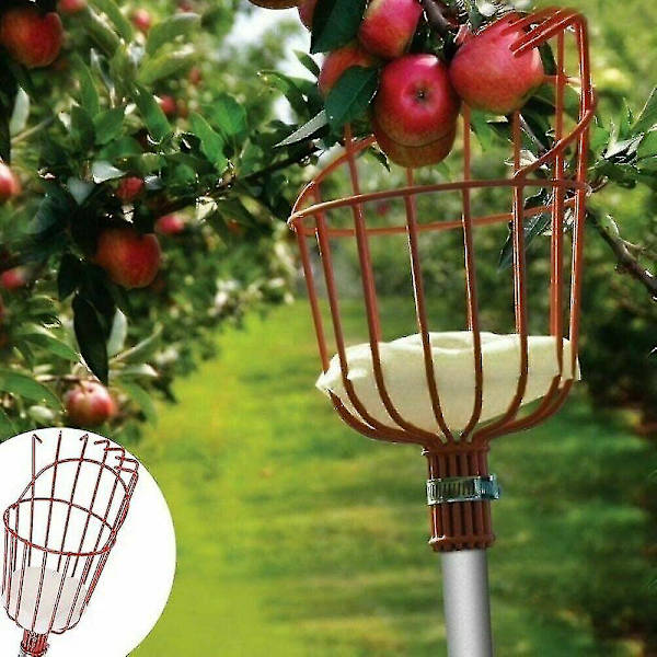 Fruktplukker, fruktplukkerverktøyskurv, for frukt epler sit