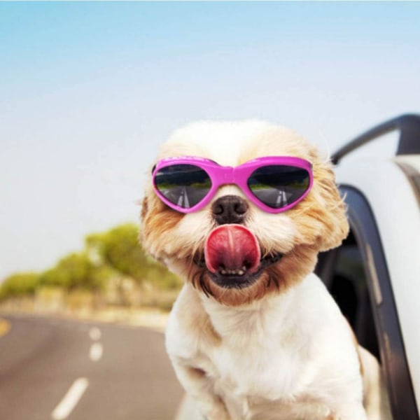 Lemmikkieläinten aurinkolasit, Taitettavat koiran aurinkolasit UV-suojalla (sininen 1 kpl) blue