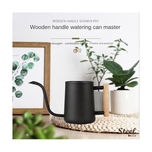 Vandkande til indendørs planter, 35 oz/1000 ml metal rustfrit stål vandkande potte med lang tud fo