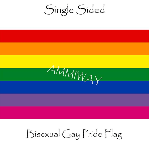 Bendera Dan Spanduk Lesbo Pride Ukuran Apa Pun Ei-biner B
