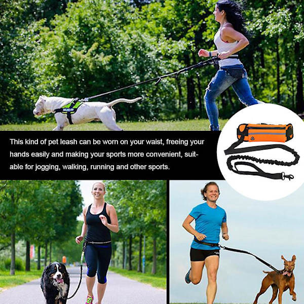 Håndfri uttrekkbar hundekobbel for jogging, løping, gåing, fotturer og trening
