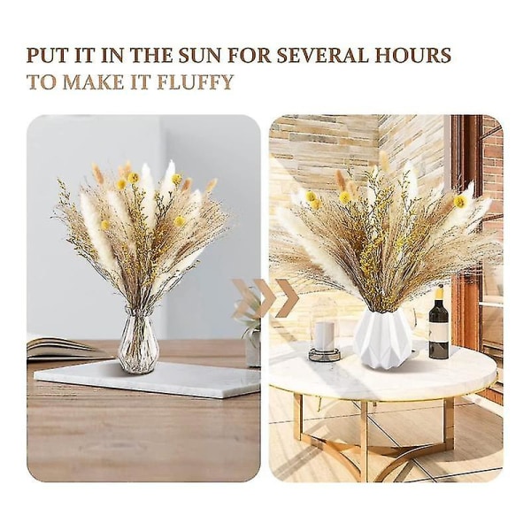 Pampasgræs R 65 stk. 17,5 tommer tørrede pampasplanter -fluffy tørrede pampas
