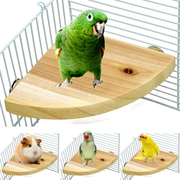 Papegøje Stativ Legeplads Bur Tilbehør til Små Dyr Rotte Hamster Gerbil Rotte Rotte Kærlighed Fugl Finker Conure Sports Legetøj 7 Tommer