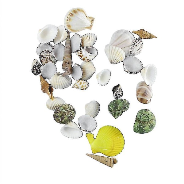 1000g Seashells Mixed Ocean Beach Seashells Luonnolliset värikkäät simpukankuoret koristeluun askarteluihin (eriväriset)