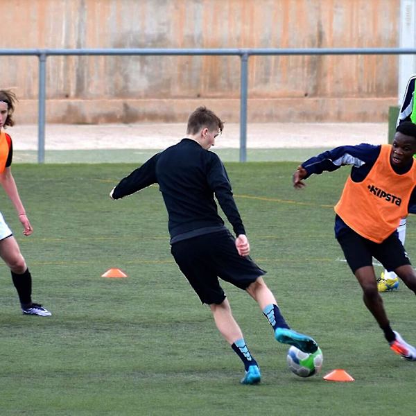 Sett med 50 sportsmarkering kjegler, sikkerhetskjegler / plott for fotball, basketball, ben, barntrening-2023