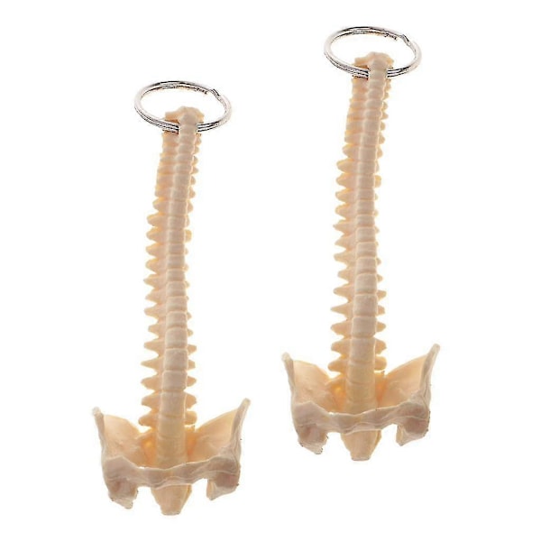 2 st Mini Handgjorda Människans Ryggrad Skelett Modell Nyckelring Skola Undervisningsverktyg Elegant Vacker Nyhet Nyckelring Söt För Män Kvinnor