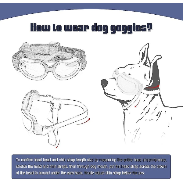 Hundsolglasögon Hundglasögon, Uv-skydd Vindskydd Dammskydd Dimskydd Husdjursglasögon Ögonskydd med justerbar rem för Medel