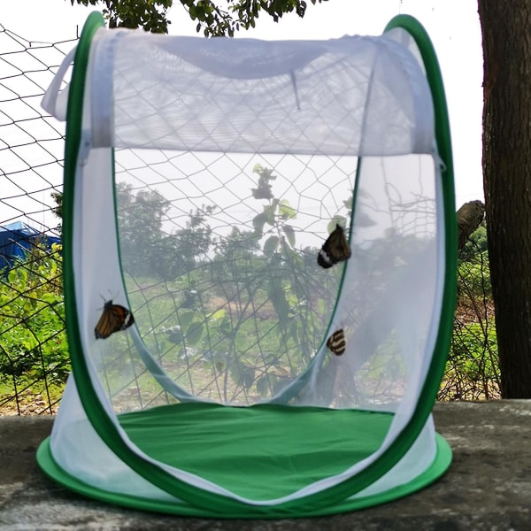 Insektsbur Vikbar Lätt att bära Grön mesh Terrarium för trädgård