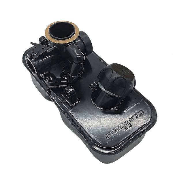 Briggs Stratton Förgasare 93902 95902 95982 96902 96982 98982