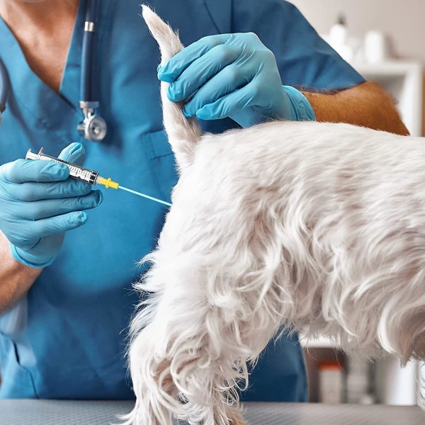 20 stk. Kunstig Insemineringsværktøj til Hunde Ai Avl Foder Hvalpekateter Stang Til Hjem Kæledyrsprodukter Værktøj