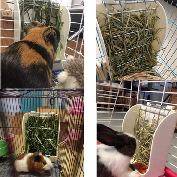 Kaniin heinäsyöttölaite Marsun heinäteline Manger Bunny Hay Holde