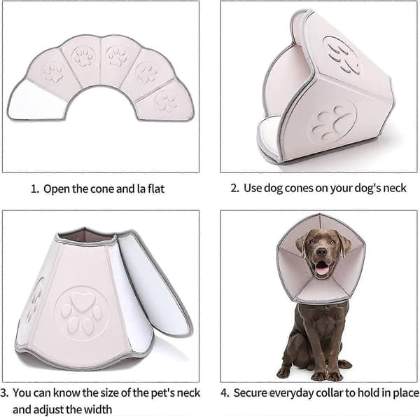 Hundekrave til hunde efter operation