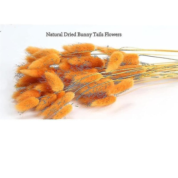 60 st Höst Torkade Blommor Kaninsvansar Blommor För Torkade Blomsterarrangemang (orange)