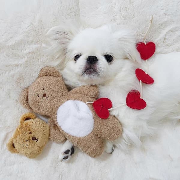 Interaktivt Puzzle Hundefoder Godbid Dispenserende Legetøj Sød Bjørn Til Indendørs Hunde