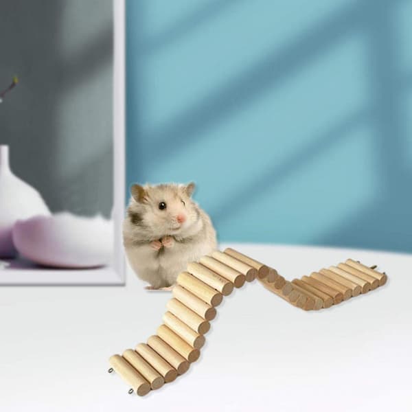 Papegoja Hamsterbro