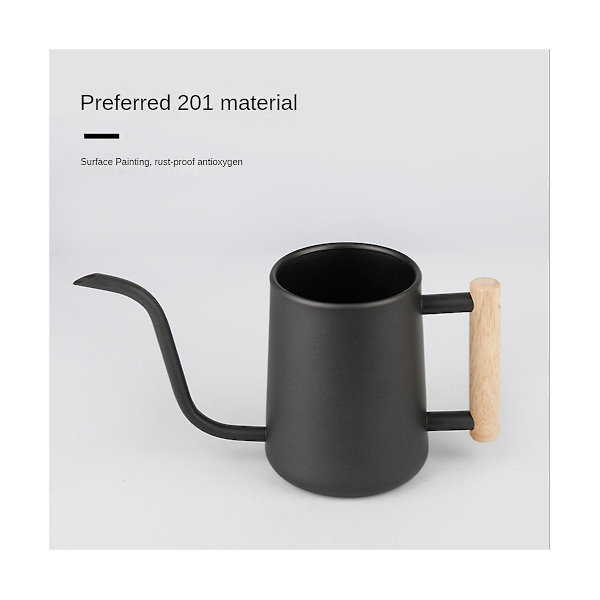 Kastelukannu sisäkasveille, 35 Oz/1000 Ml metallista ruostumatonta terästä kastelukannu pitkällä kaatolla