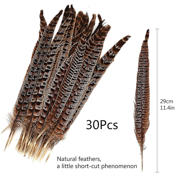 30 stk Naturlige Fasanfjer, DIY Fasanhalefjer