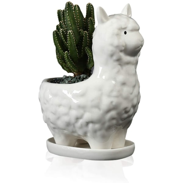 Cute Alpaca Succulent Planter with Draining Tray, White Cera