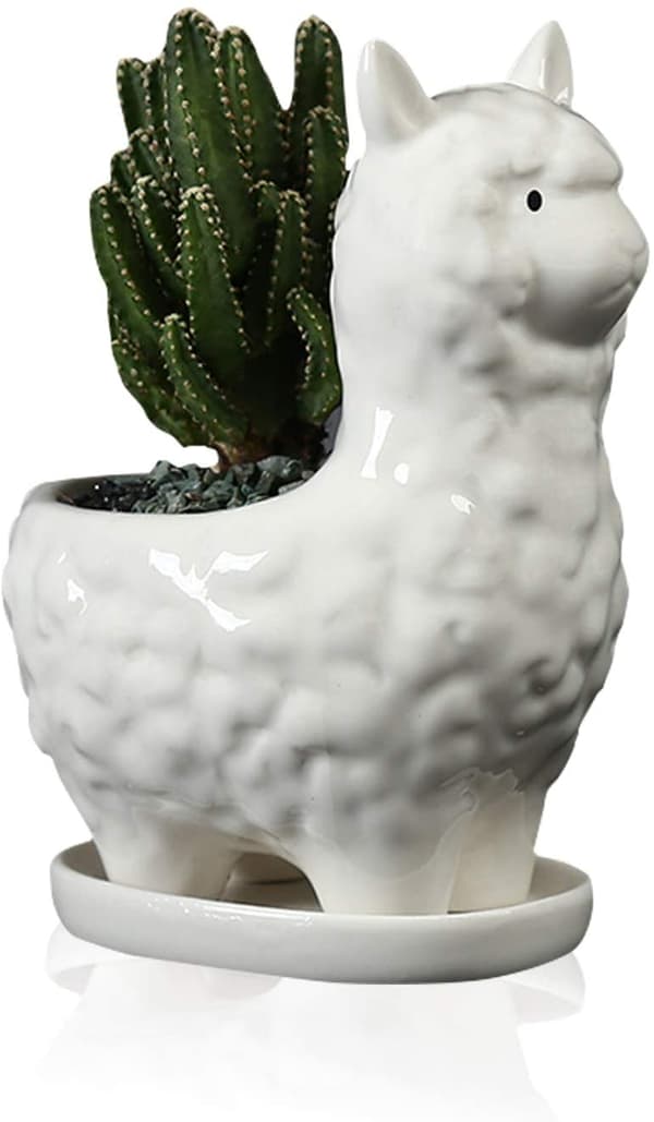 Söt Alpacka Succulent Planter med Dräneringsbricka, Vit Cera