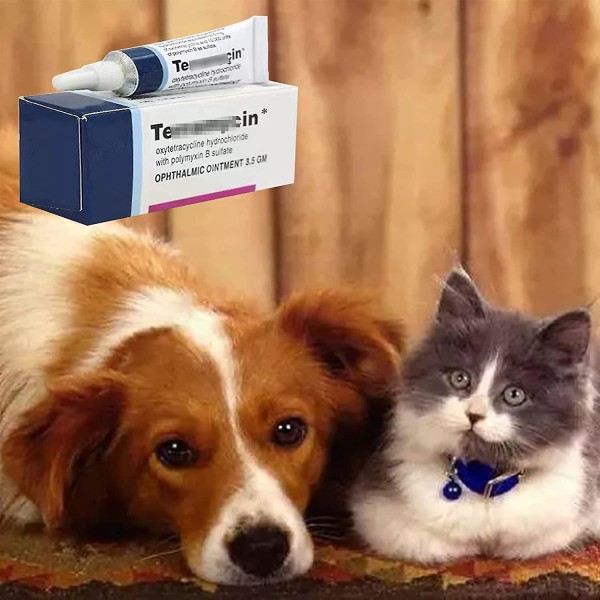Hund och katt ögonhälsogel,katt och hund husdjur ögonsalva hornhinneinflammation ögonsalva 3,5g 2 Pcs