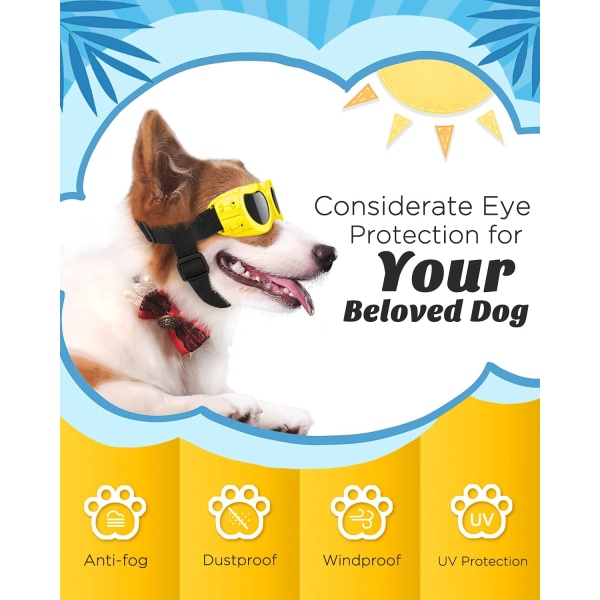Hundebriller Øjenbeskyttelse Vandtætte kæledyrssolbriller f