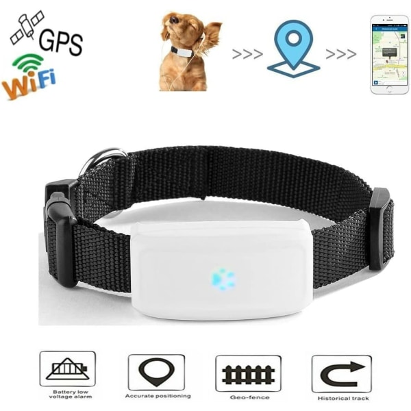 Katt og hund GPS-sporer med halsbånd Anti-tapt mini GPS-spor