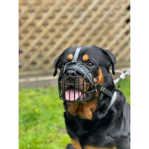 STARK tråd metall nos Korg Hund Munkorg Rottweiler, Mastiff Golden