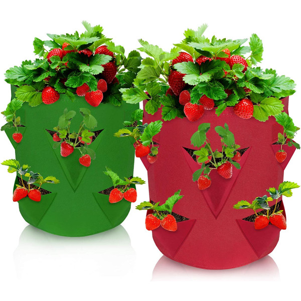 2-delt jordbærplantepose Jordbærplanter Grønnsaksplantepose med vindusdekke  og håndtak Pustende hageplantepose ed88 | Fyndiq