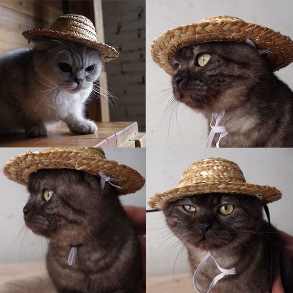 (Beige) Tilbehør Hat for Hunder, Reise Fancy Halmhatter Solhatt Cap for Små Valper Katt Kjæledyr