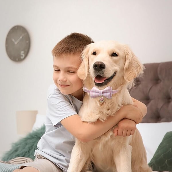 (Rose) Halsbånd Hvalpehalsbånd Til Kæledyr Gennemsigtig Til Hundehalsbånd Til Kat Halskæde Til Justerbar Hvalp Hvalp Sød og komfortabel hvalp hvalp med en smuk